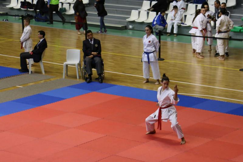 Championnat kata de la Ligue Régionale Occitanie à Toulouse 5