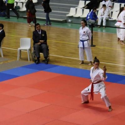 Championnat kata de la Ligue Régionale Occitanie à Toulouse 5