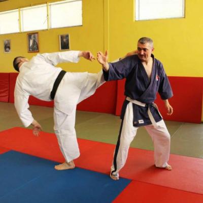 Stage de Yosekan budo-karate 17