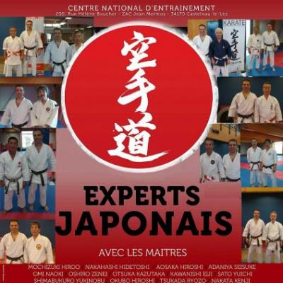 11 et 12/04/2015-Stage avec des experts japonais à Castelnau-le-Lez